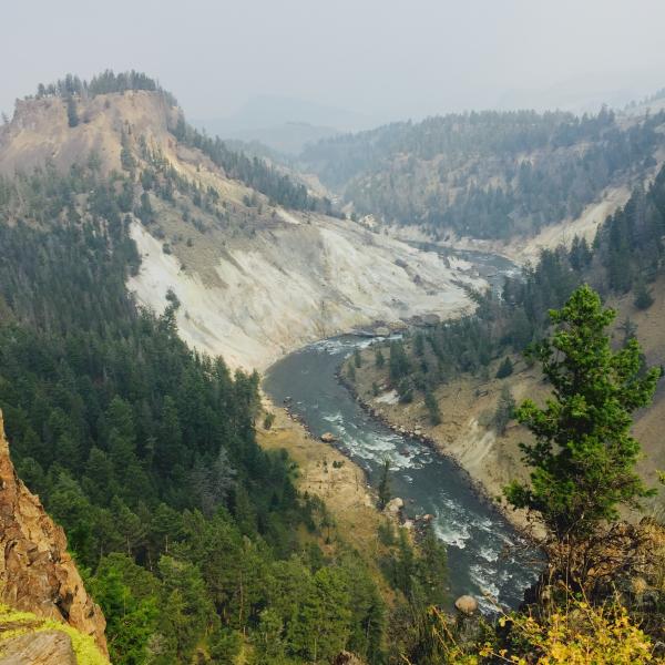 yellowstone2_IMG_5171.jpg