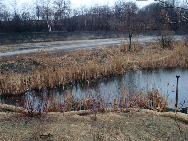 Manchester Street Park construction