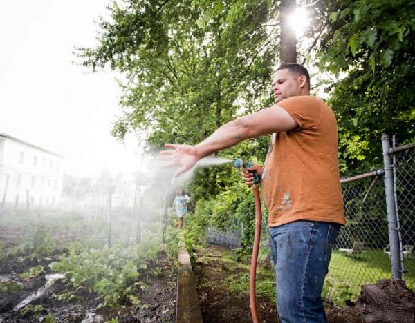 man watering community garden