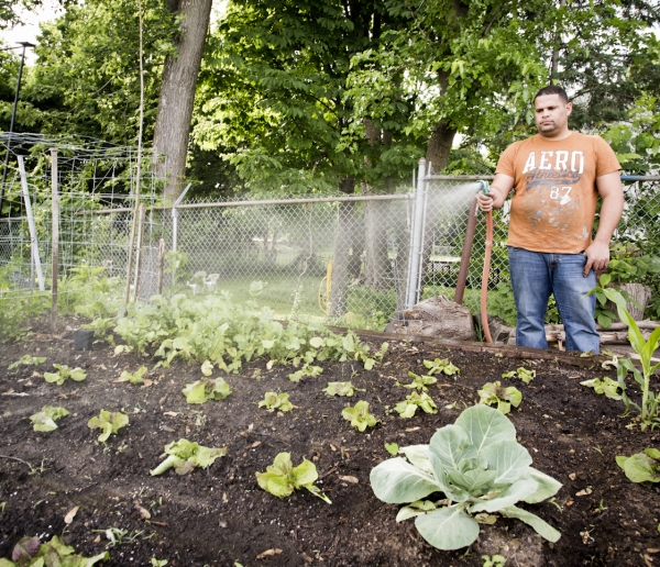 man watering community garden