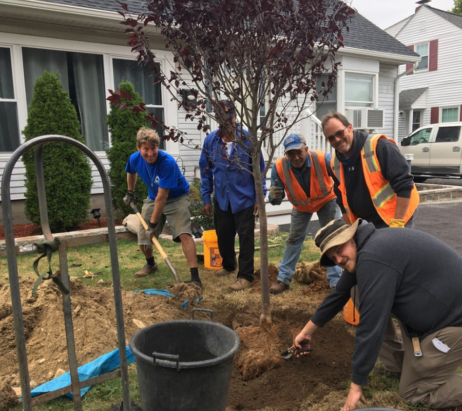 climate safe neighborhoods planting trees