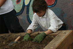 Community Garden Cronin Park