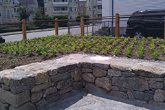 community garden Cross and Cedar