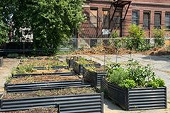 Lawrence community garden Jackson Ct