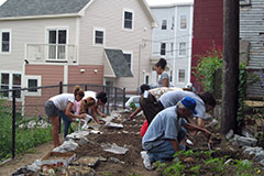 Community Garden Union and Mechanic