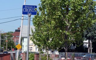 Cronin Park trees