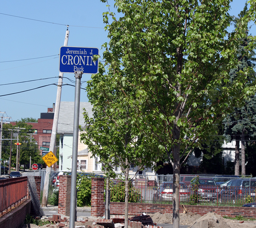 Cronin Park trees