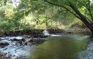 Den Rock Park river