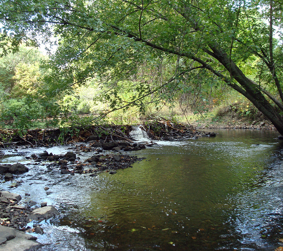 Den Rock Park river