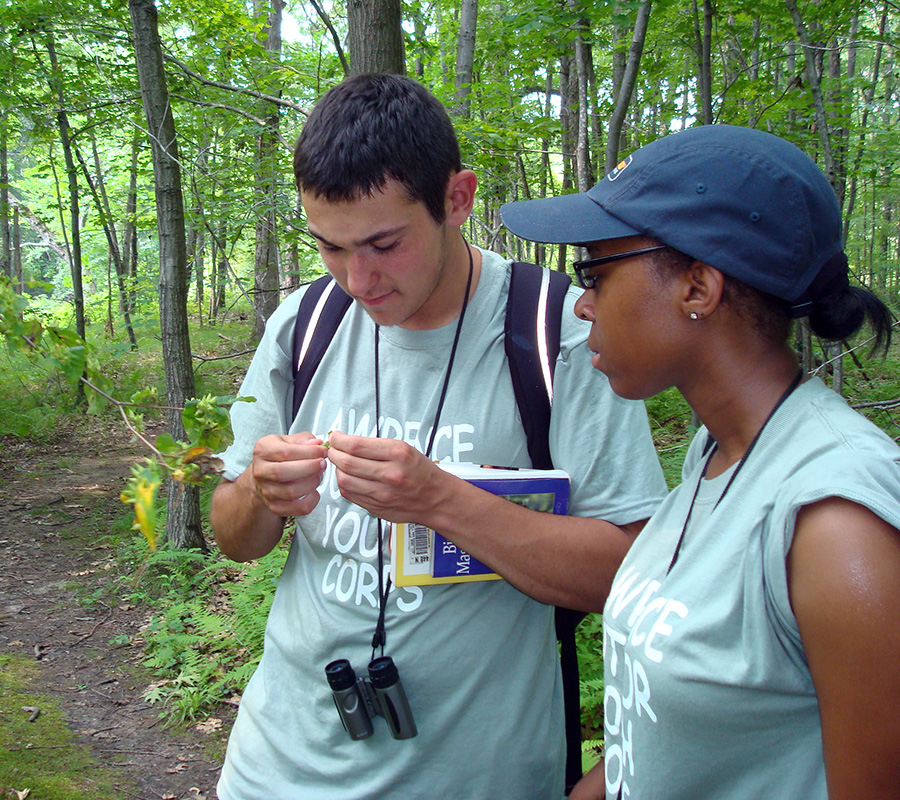 Den Rock Park nature