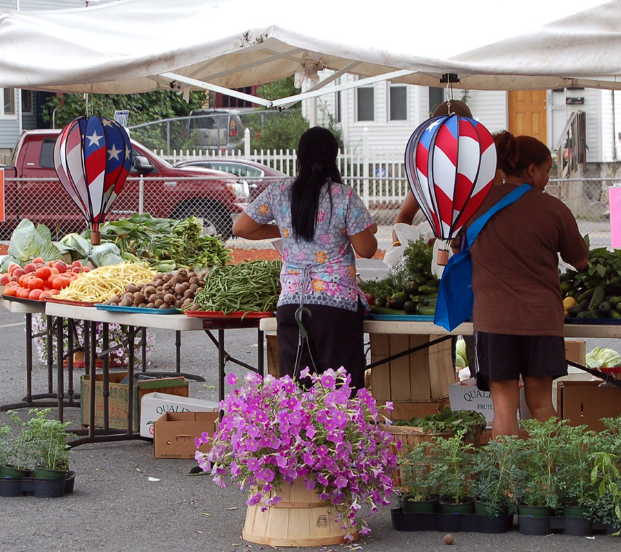 flowers at Farmer's Market Lawrence MA