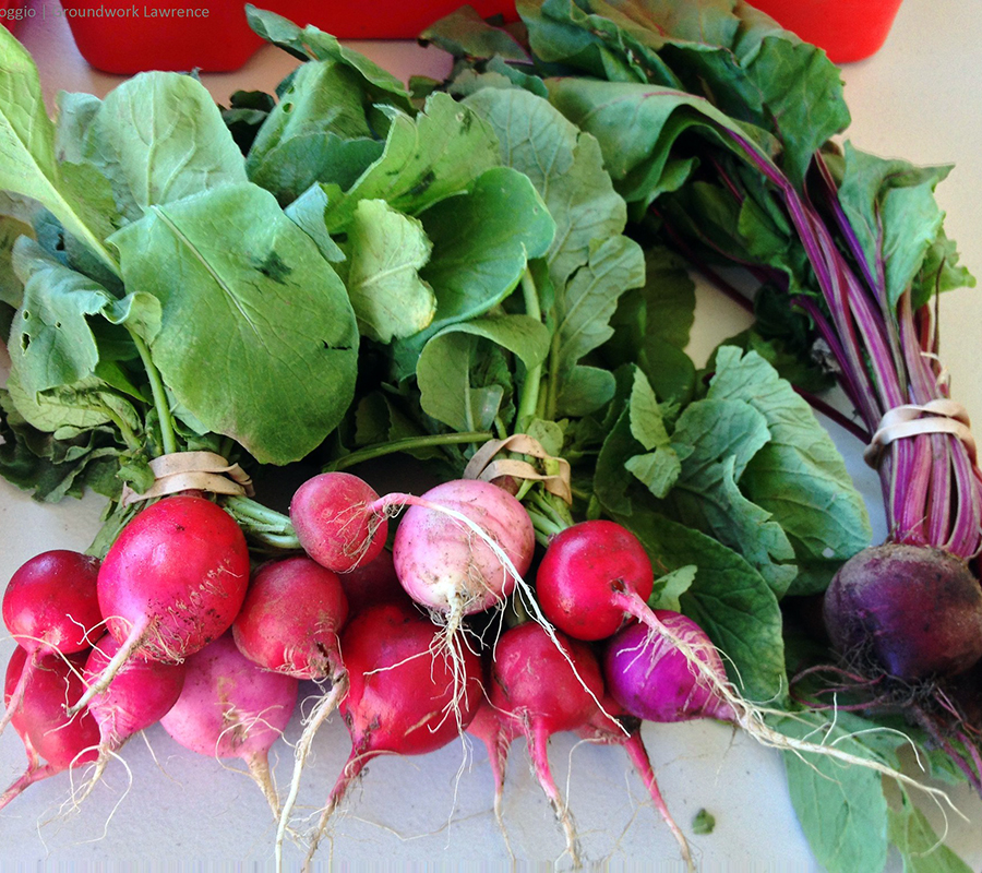 fresh produce Farmer's Market Lawrence MA