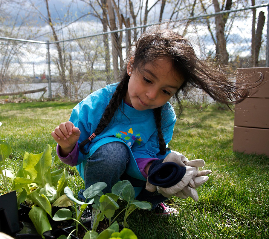 Groundword Lawrence environmental education