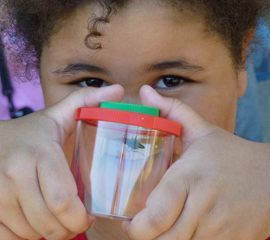 youth program environmental education girl with bug in jar