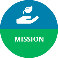 icon mission