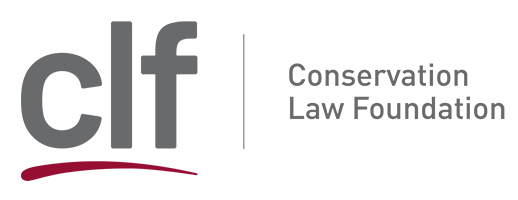 logo CLF