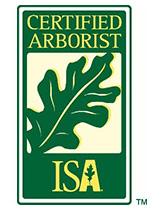 logo-certified-arborist