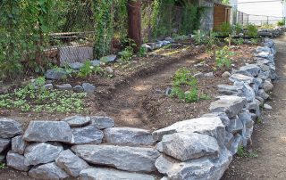 Union and Mechanic Community Garden