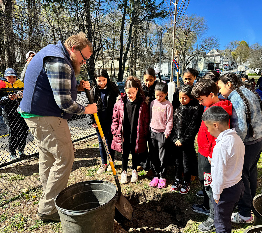 planting trees with children lawrence ma