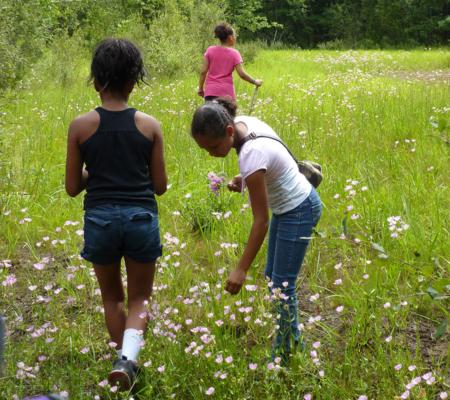 summer youth program Urban Adventures walking in wildflowers